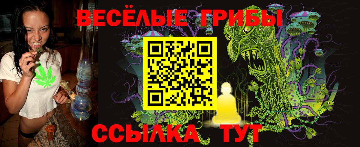 Галлюциногенные грибы прущие грибы Дивногорск